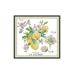 J878 Pre-Printed Cross-Stitch Kit
